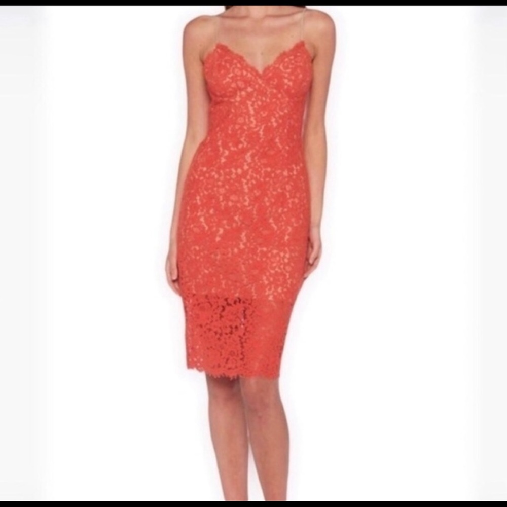 Bardot Lace Midi Cocktail Dress - Size 8 - NWT